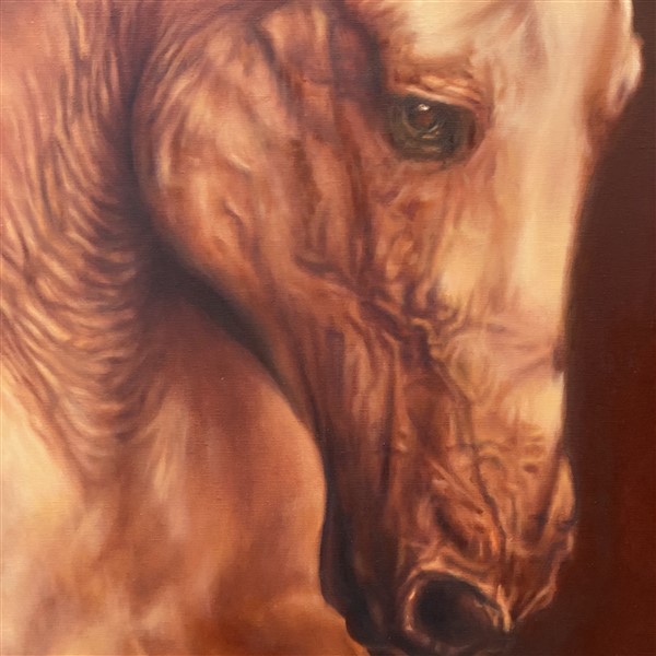 Red Stallion Detail 3 (600 x 600)